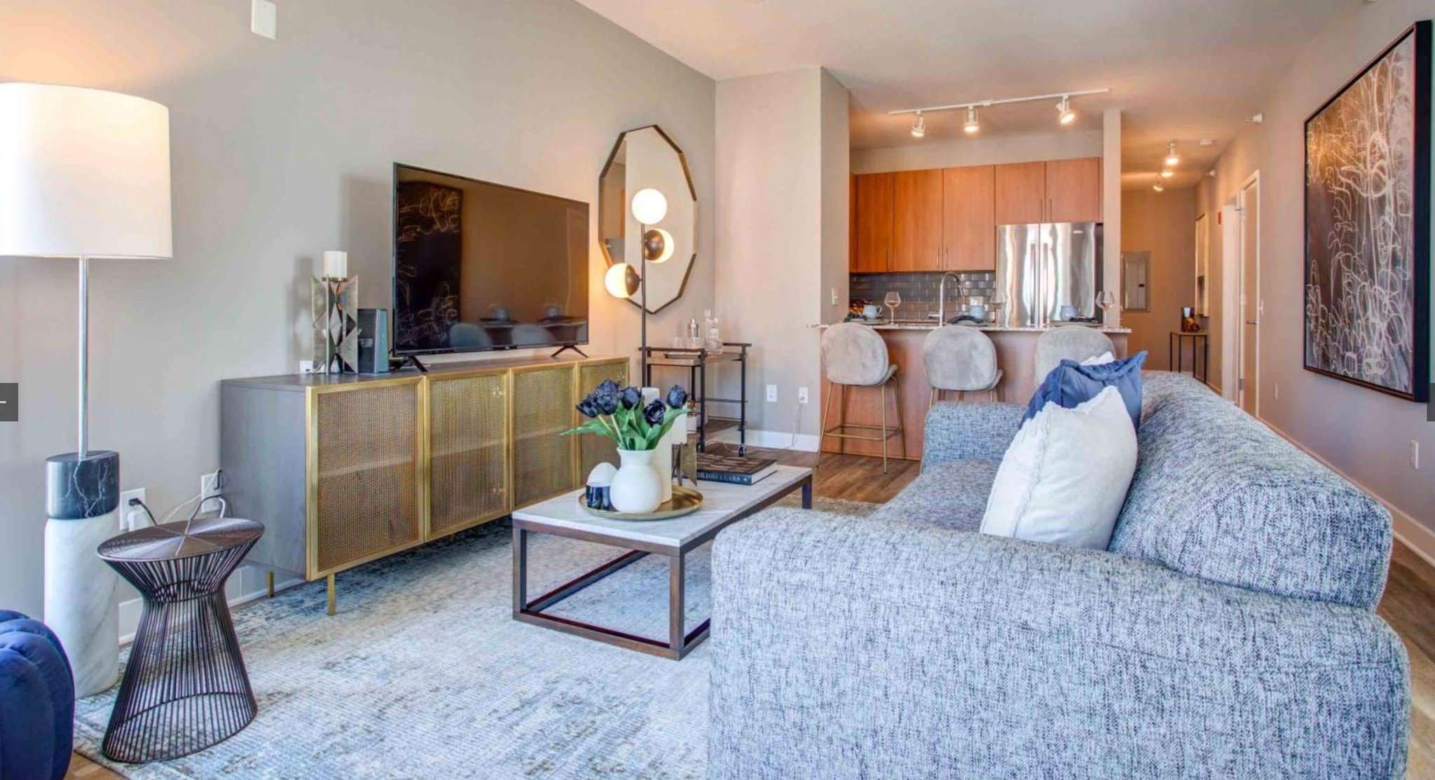 Chicago Condo: 501 N State St