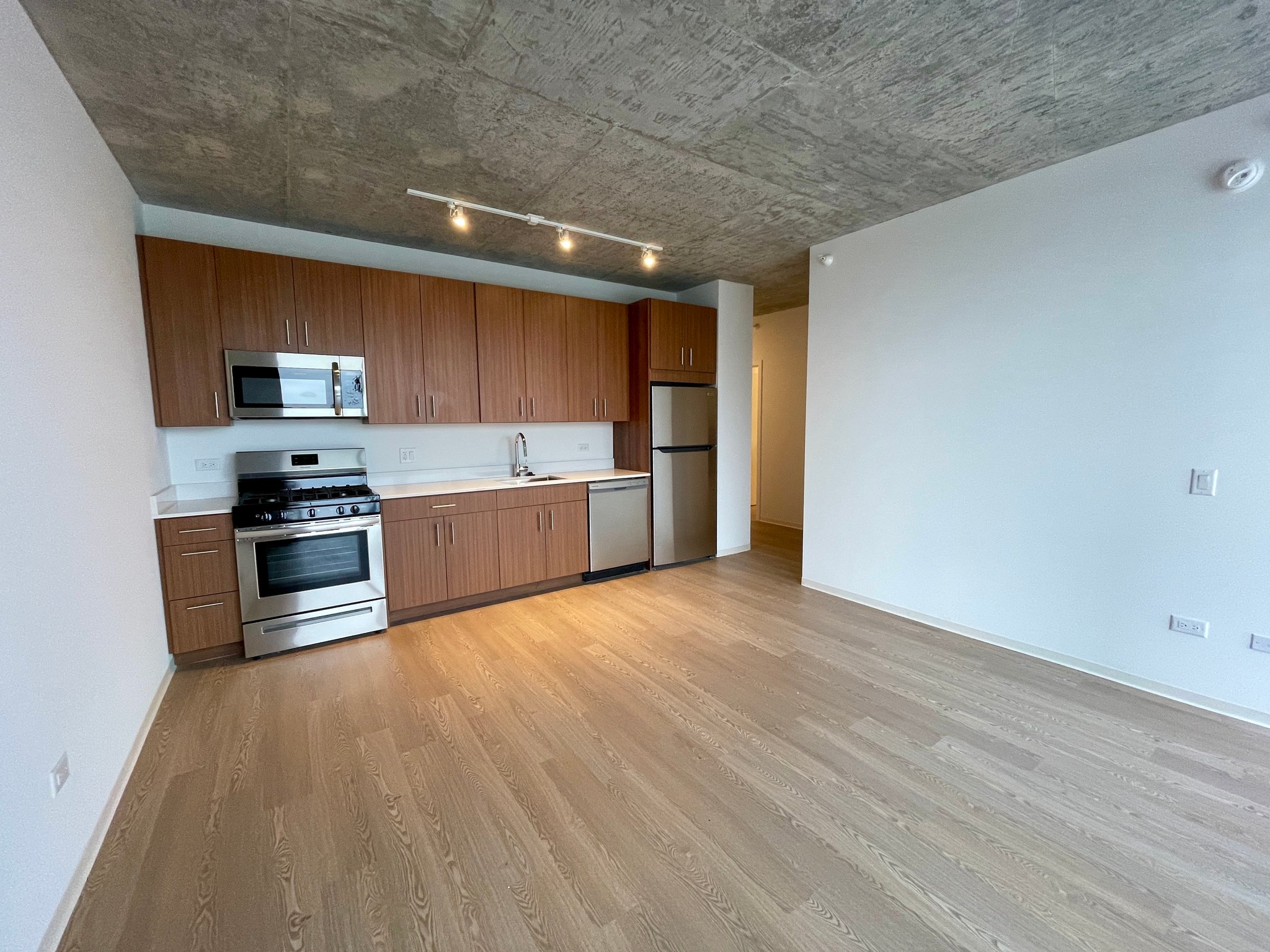 Chicago Condo: 1222 South Prairie Ave