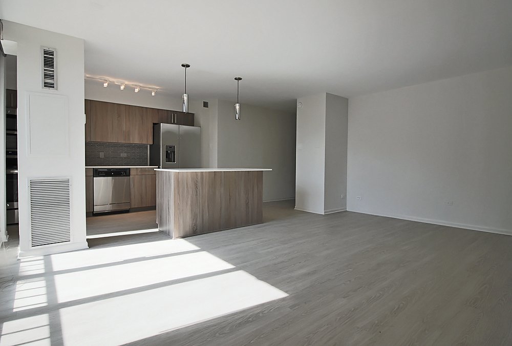 Chicago Condo: 931 S Ashland Ave