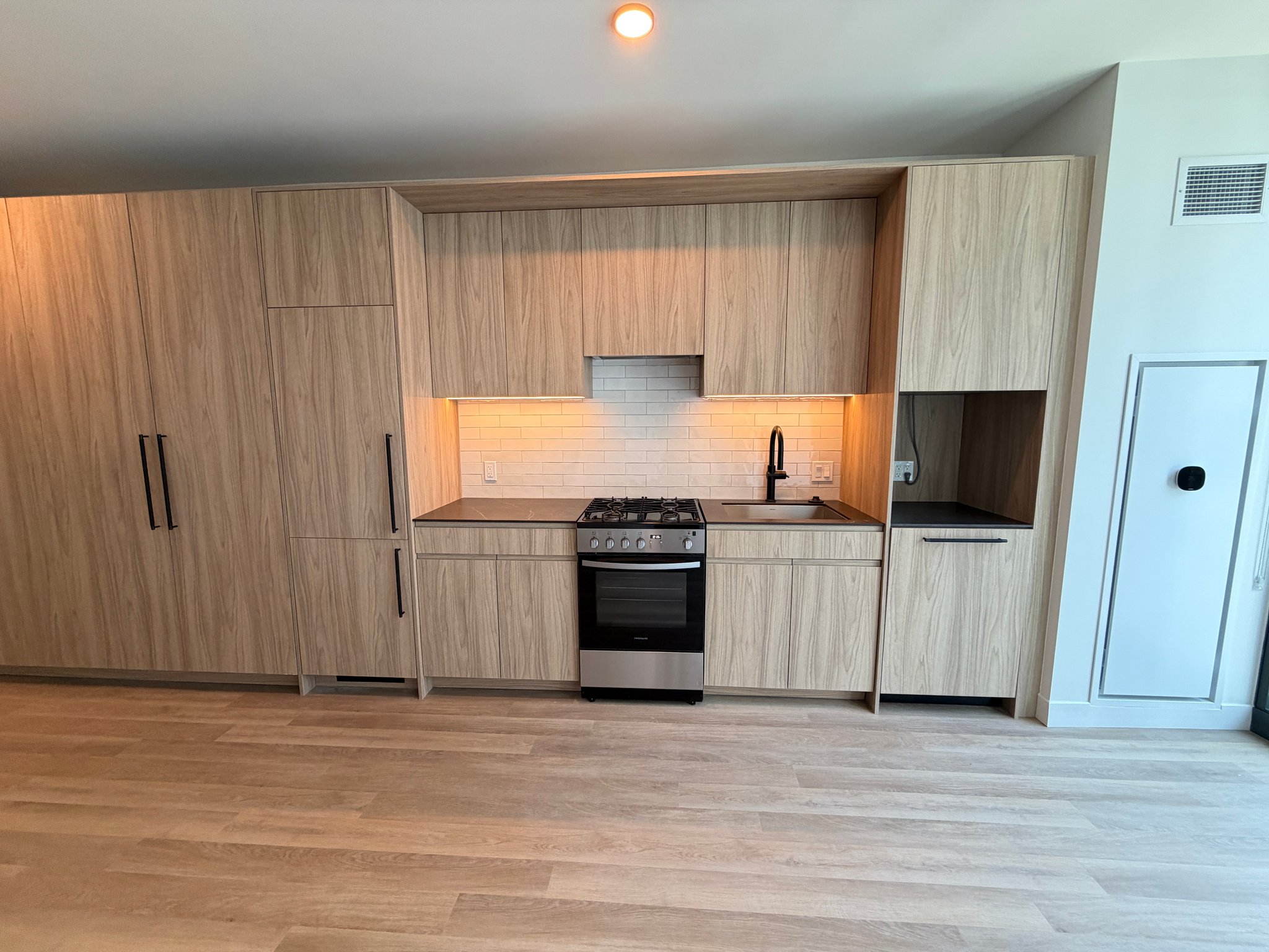 Chicago Condo: 221 North Ada Street