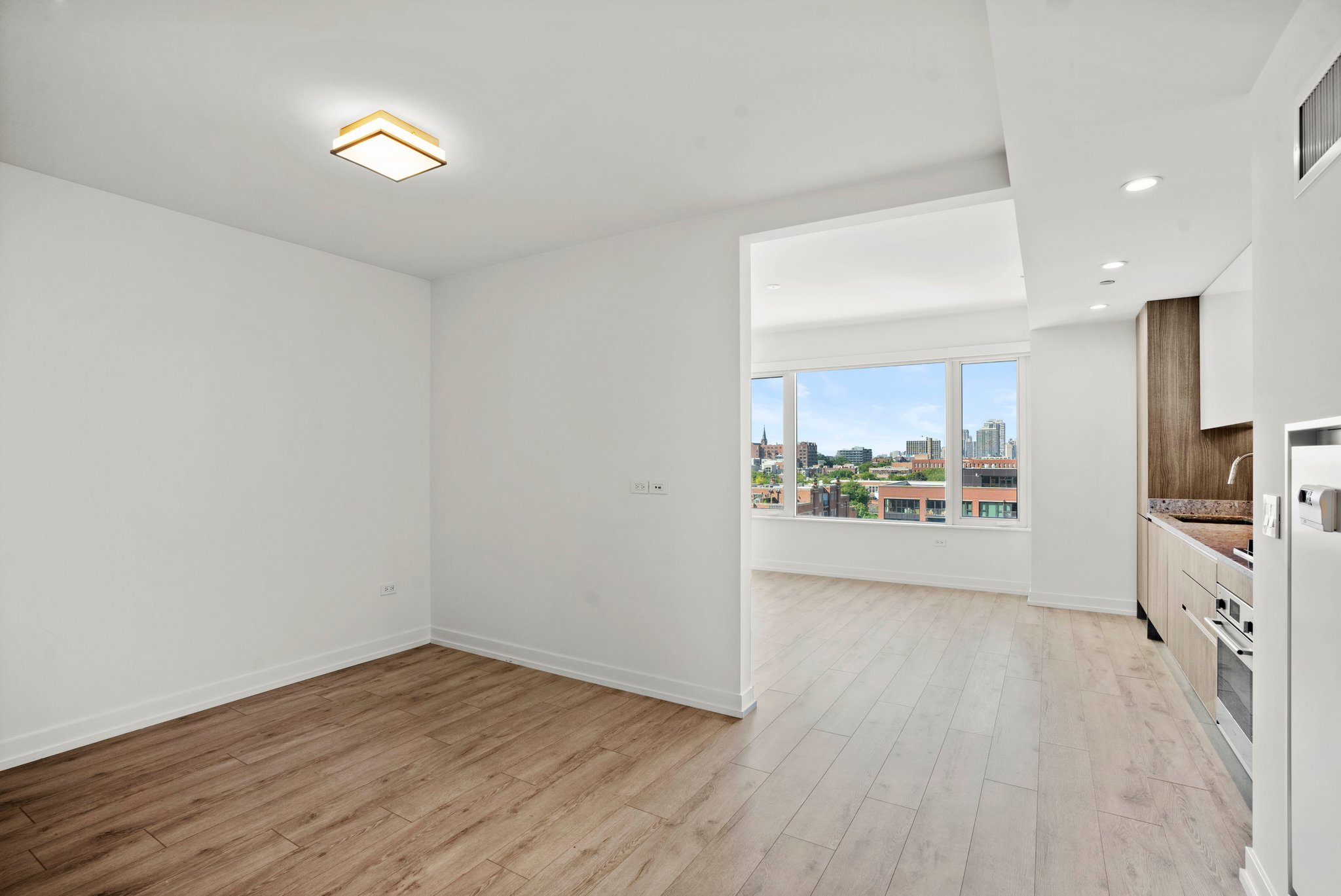 Chicago Condo: 213 W Hill St