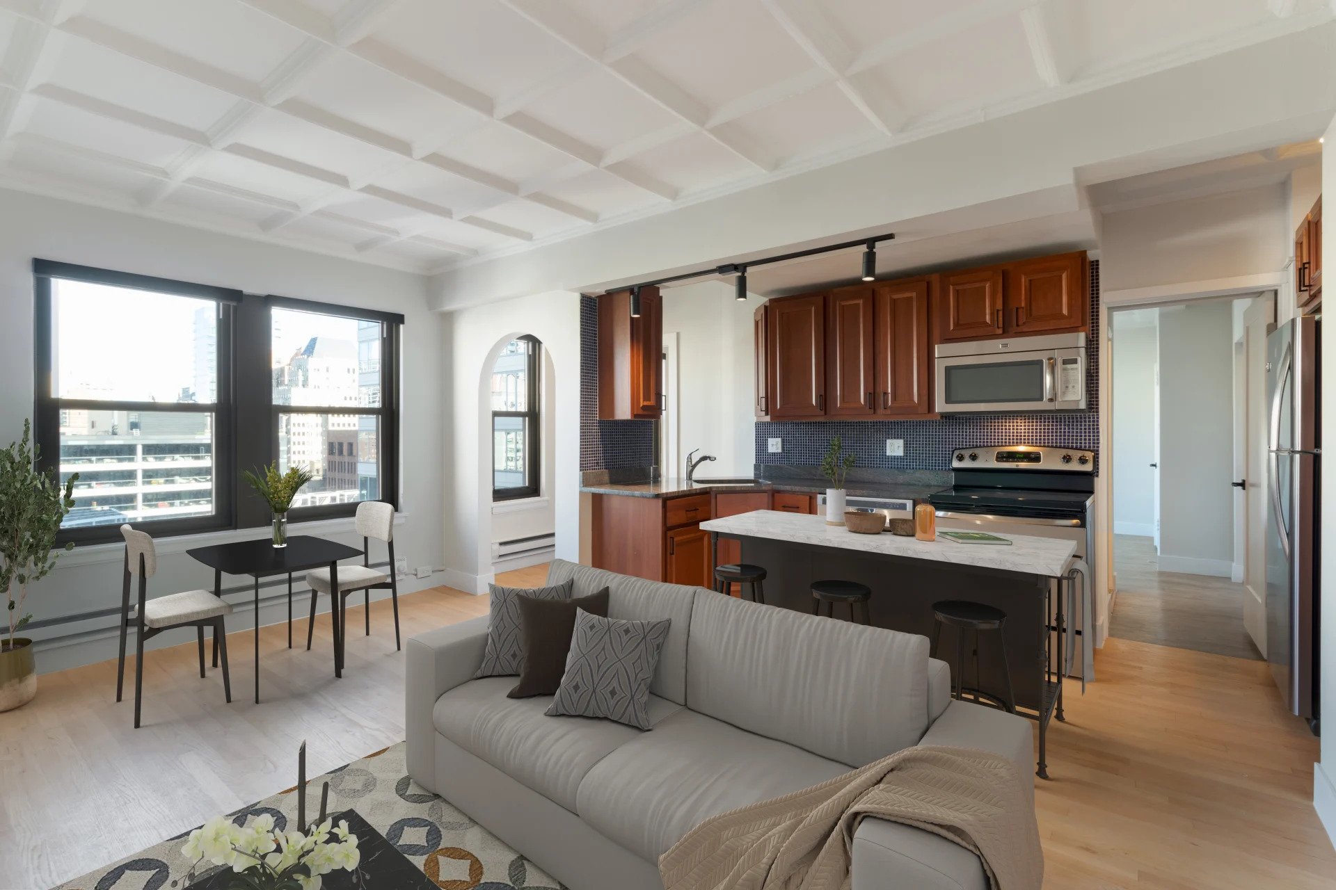 Chicago Condo: 1210 N Lasalle St