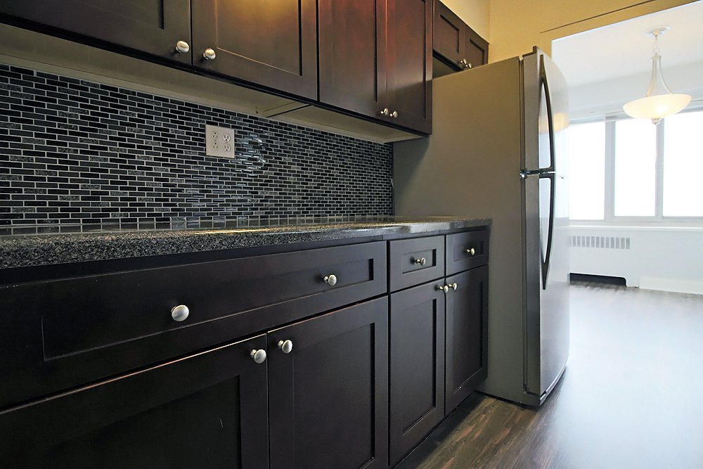Chicago Condo: 1353 N Lake Shore Dr