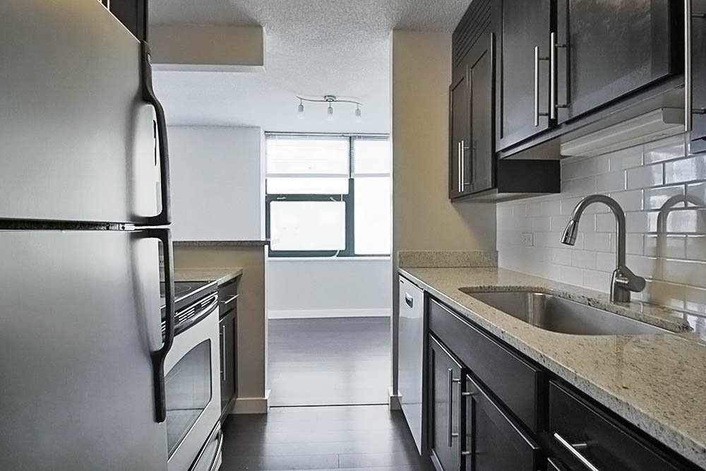 Chicago Condo: 91 W Huron St