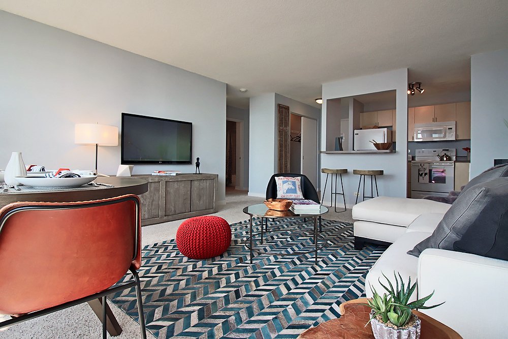 Chicago Condo: 1191 S Michigan Ave