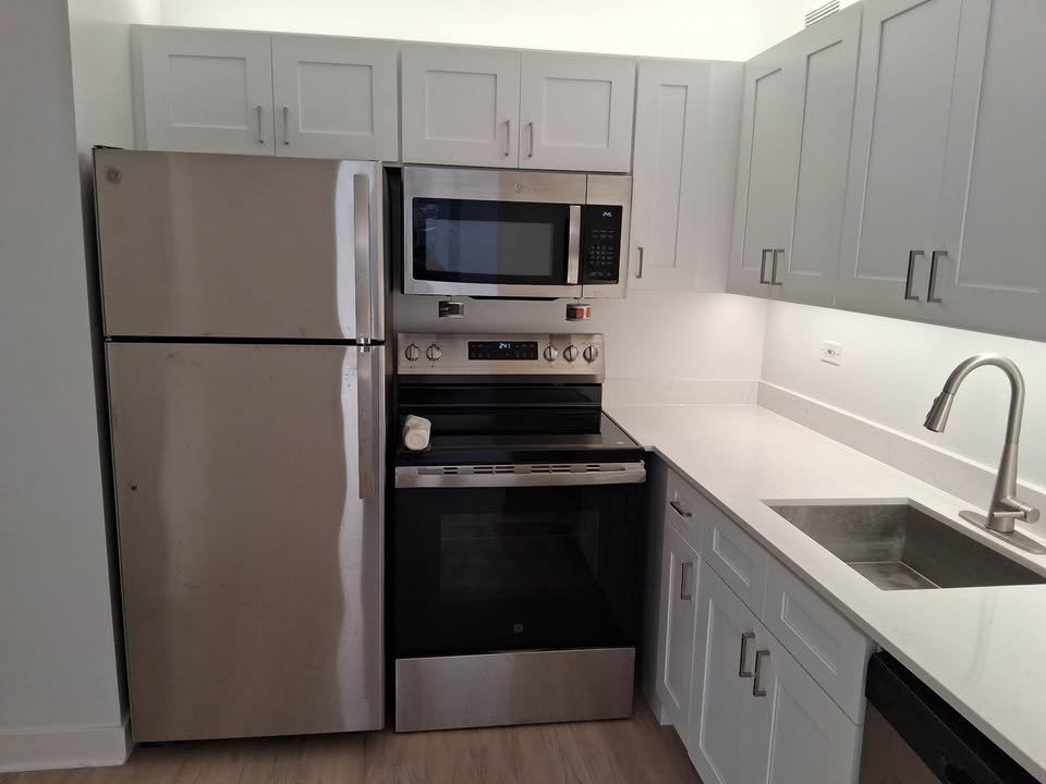 Chicago Condo: 230 E Wacker Dr