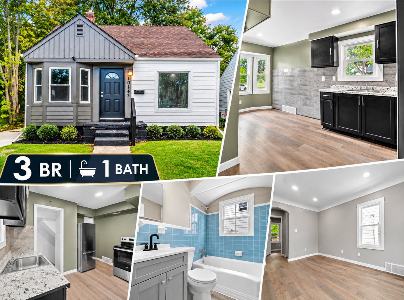 Detroit House: 10147 Lanark St