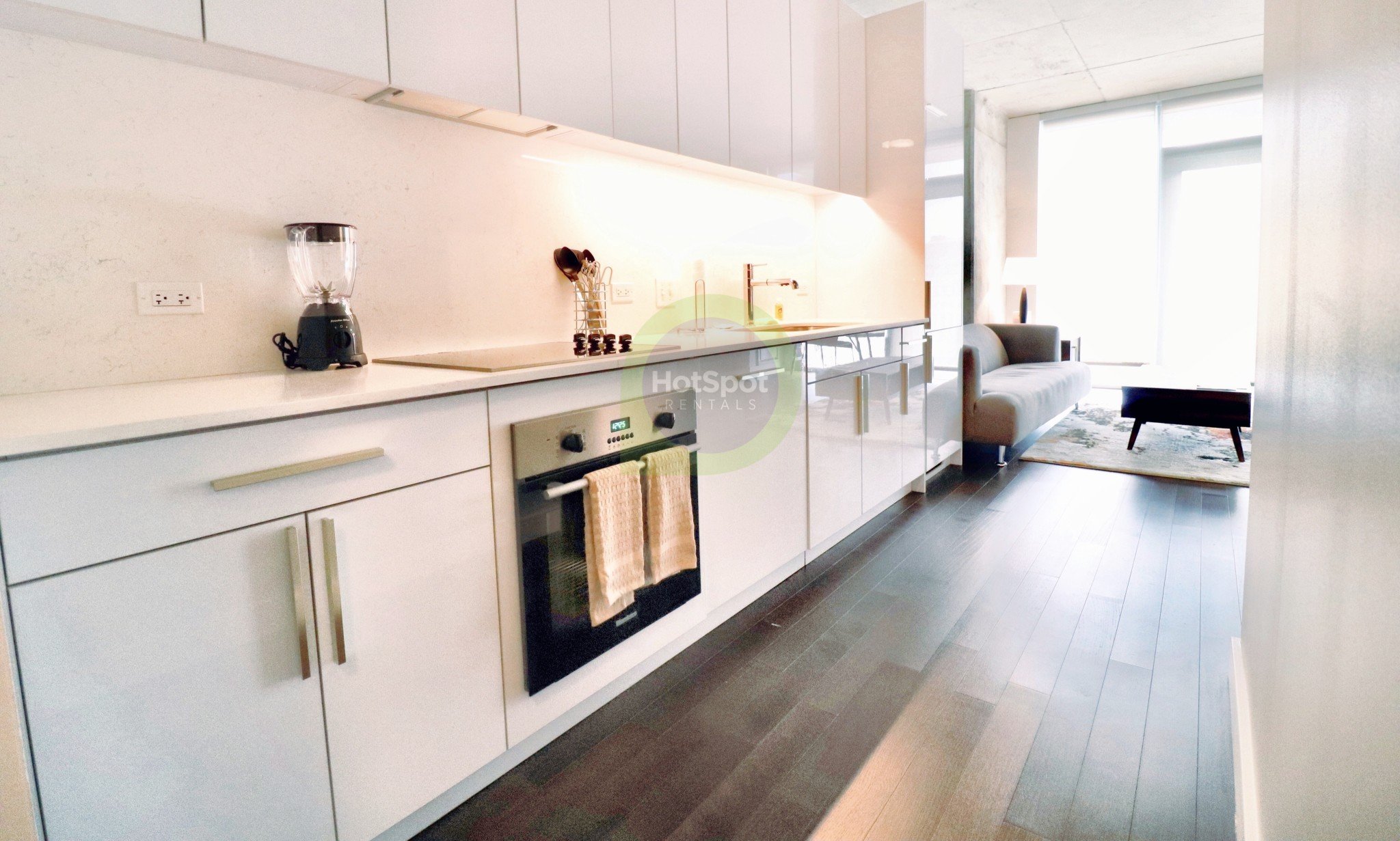 Chicago Apartment: 214 W Illinois St