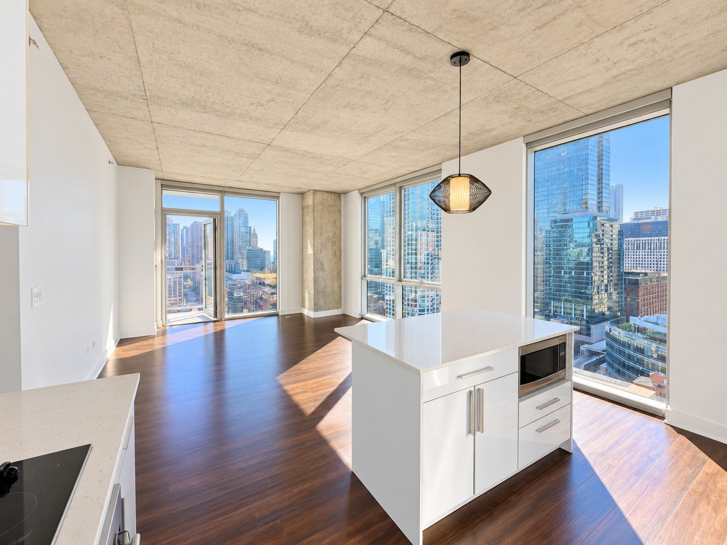 Chicago Condo: 222 W Illinois