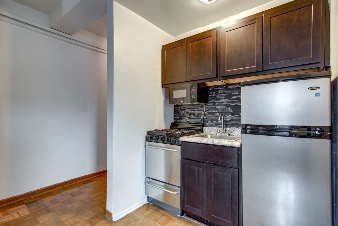 Chicago Condo: 1149 N LaSalle Dr