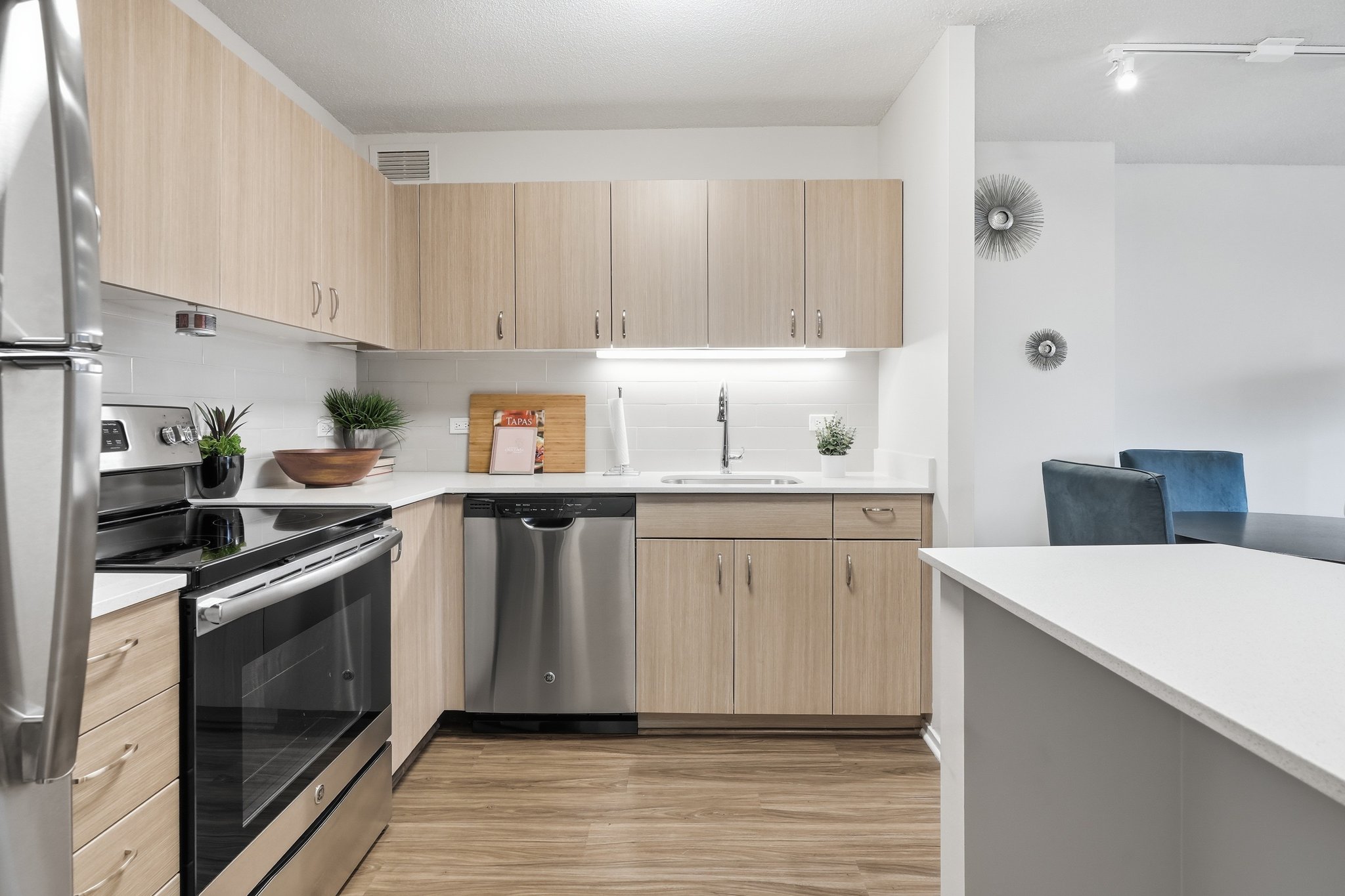 Chicago Condo: 63 W Elm Street