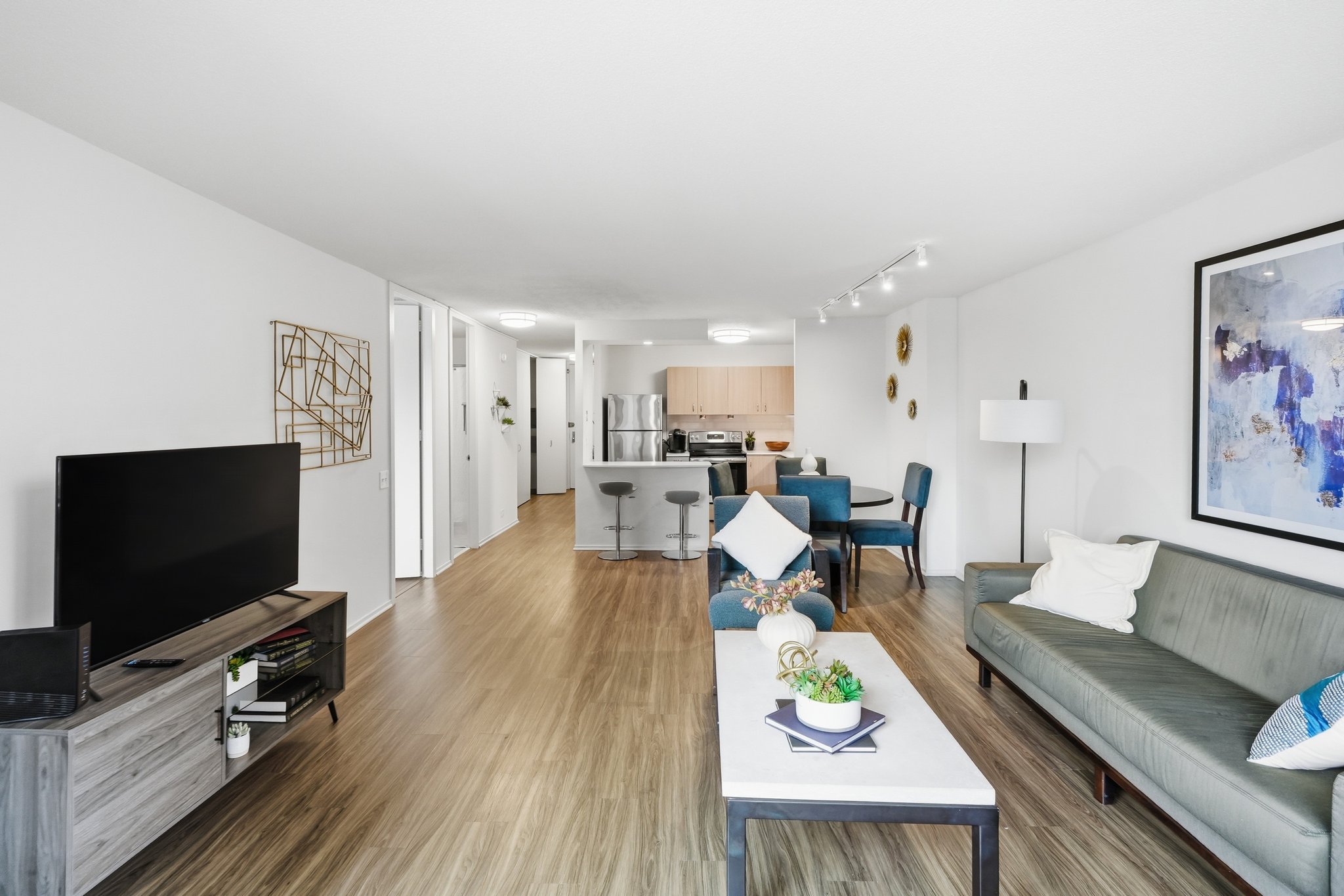 Chicago Condo: 1070 N Dearborn St