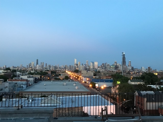 Chicago Condo: 500 N Damen Ave