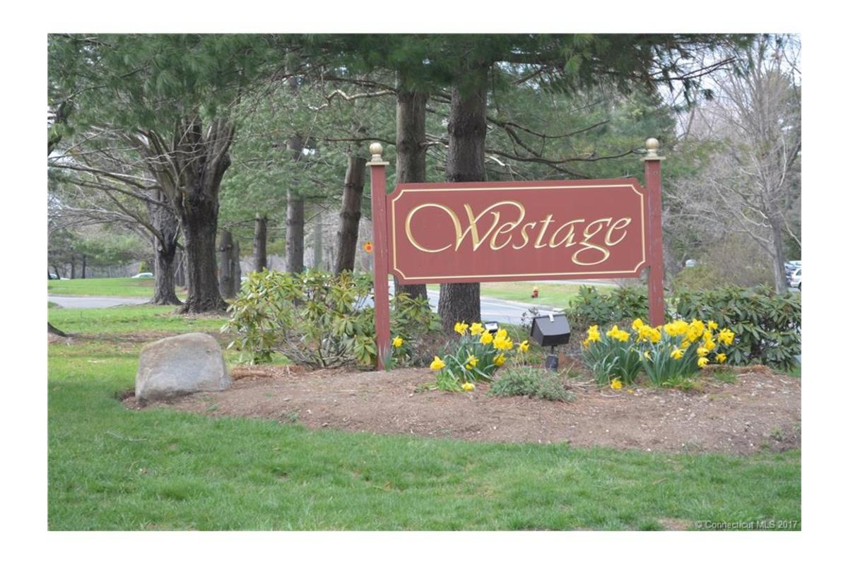 South Windsor Condo: 23 Amato Dr.