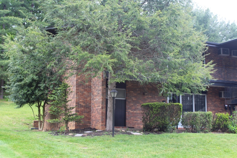 Johnson City Apartment: 102 Terrace Ct