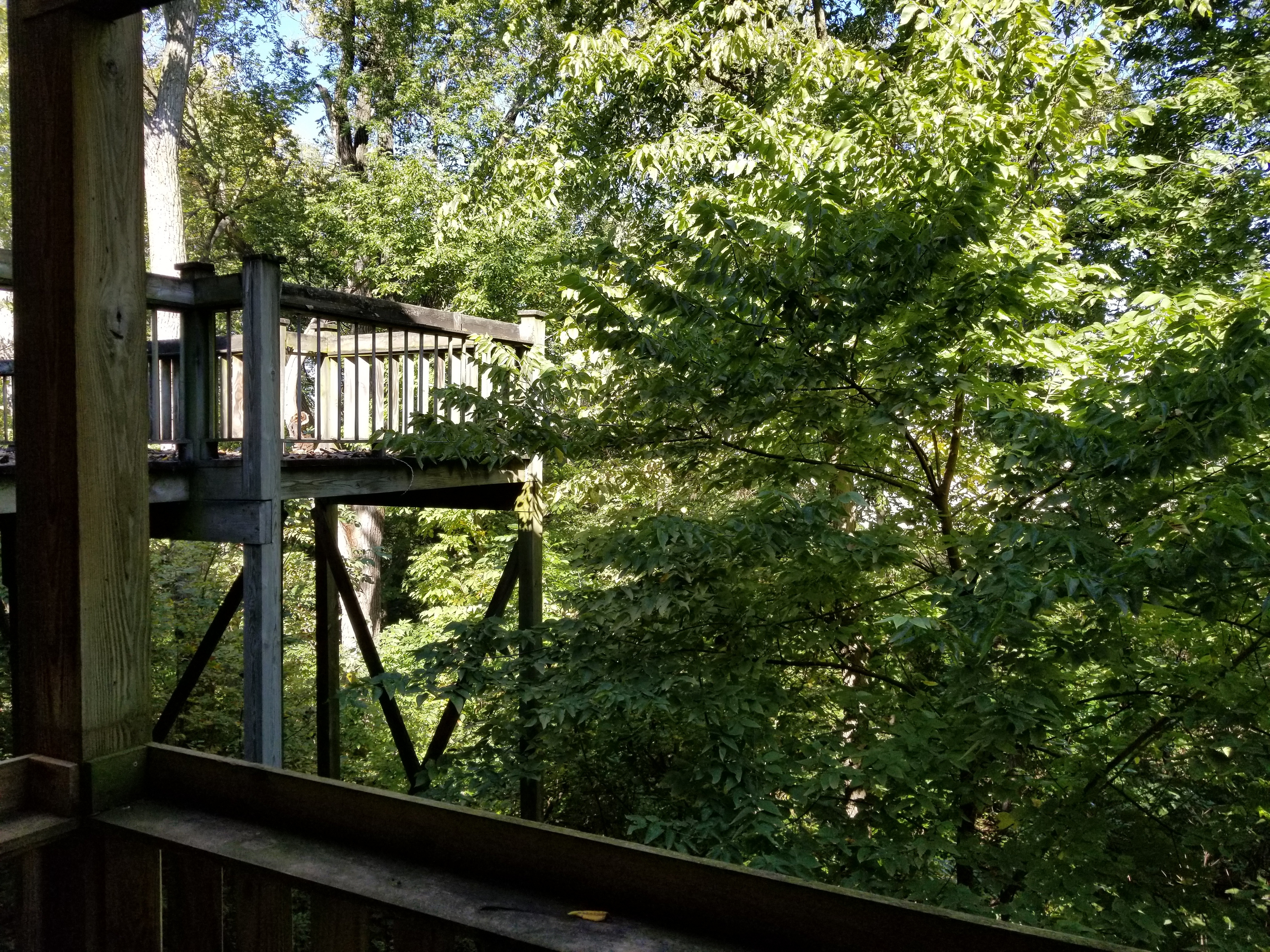 Pleasant Hill Apartment: 595 N Pleasant Hill Blvd