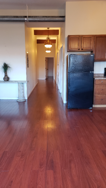 New Orleans Condo: 915 Decatur St