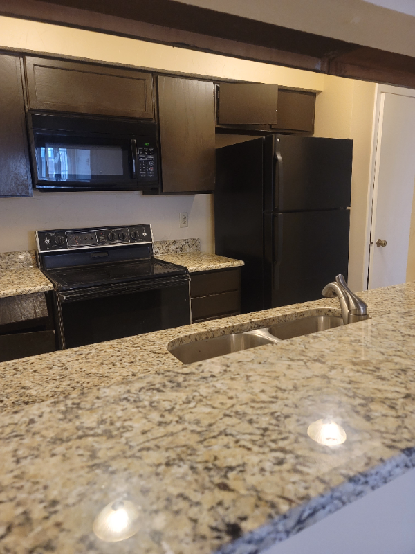 Dallas Condo: 12484 Abrams Rd