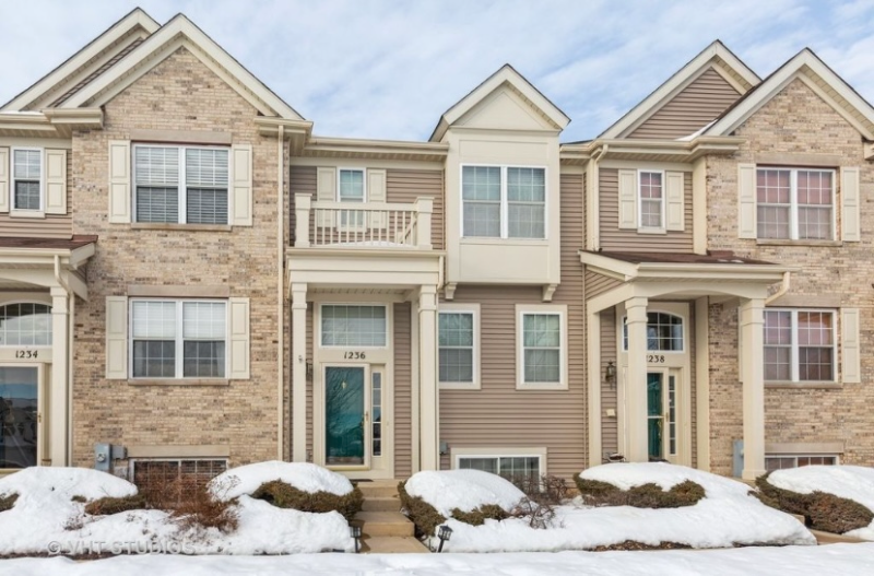 Pingree Grove Townhome: 1236 Derry Lane