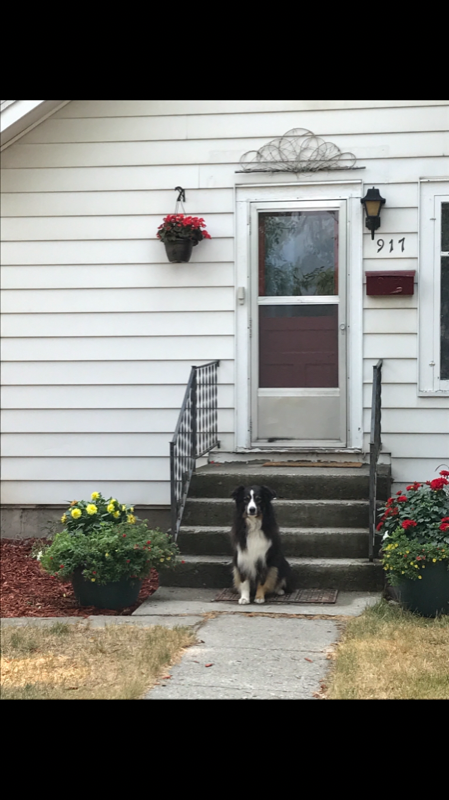 Whitefish Townhome: 917 2nd St E