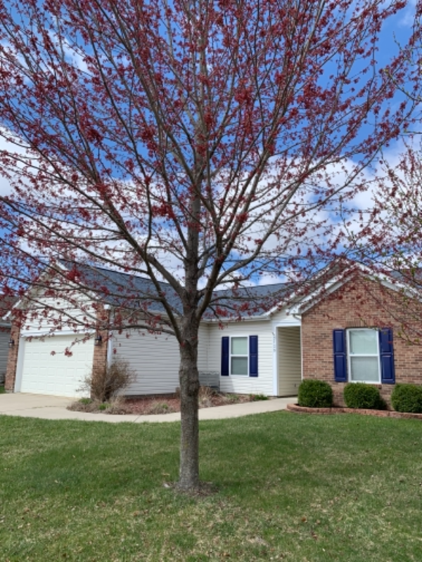 west lafayette House: 3730 Tesla drive