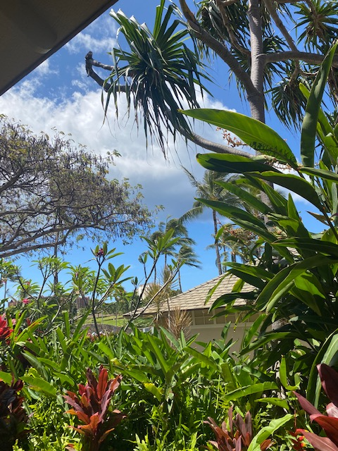 Kapolei Townhome: 921001 Aliinui Dr
