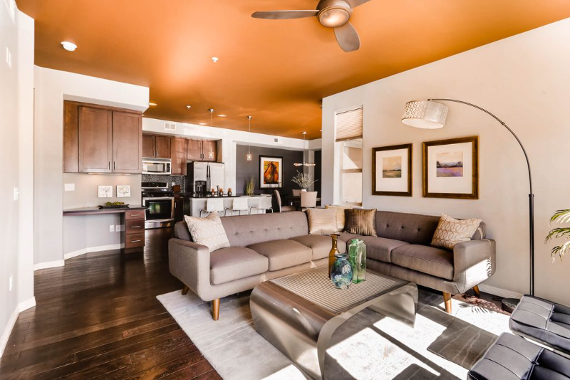 Denver Condo: 1100 N Grant St