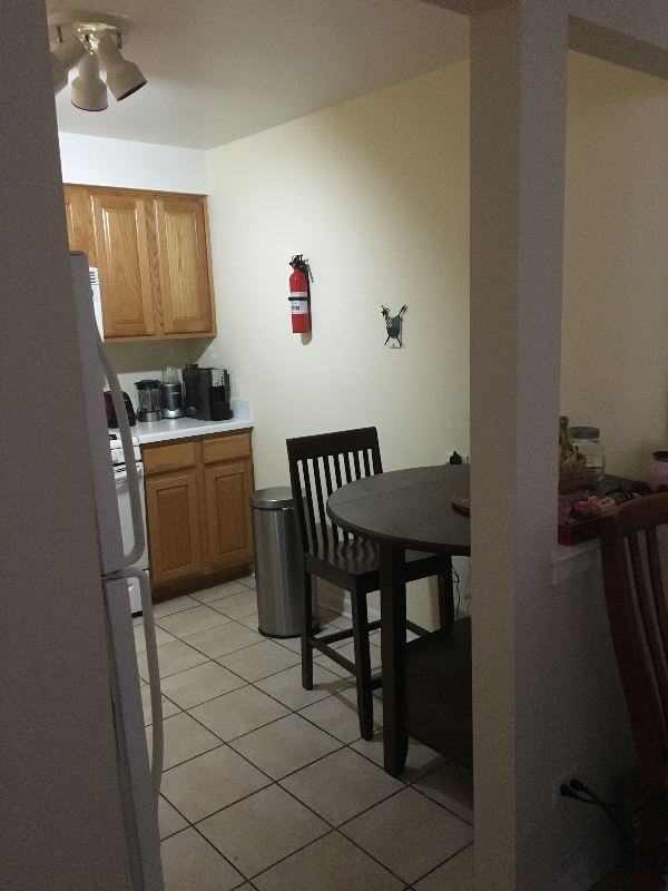 Skokie Condo: 5215 Galitz St