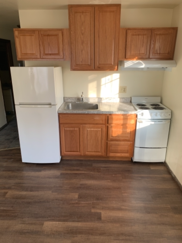 Madison Apartment: 454 W Dayton St