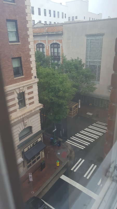 Norfolk Condo: 241 Granby