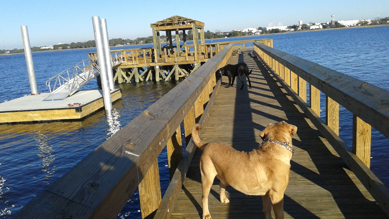 charleston House: 852 tripe st