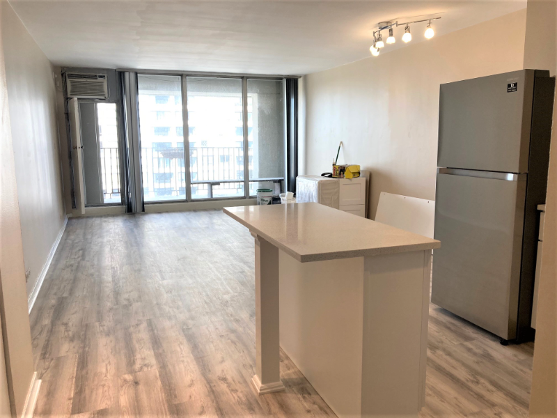 Chicago Condo: 1960 N Lincoln Park W