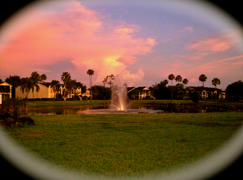 fort myers Condo: 1830 brantley road