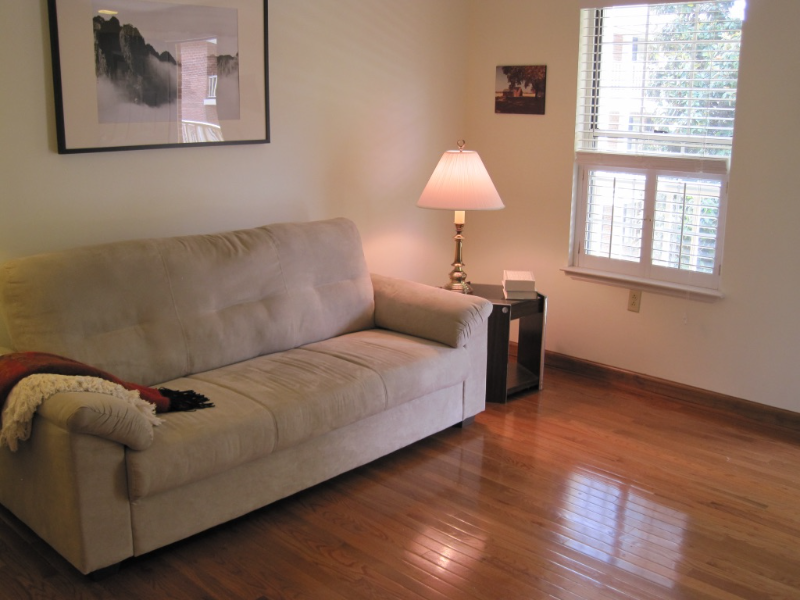 Clemson Condo: #625 250 Elm St