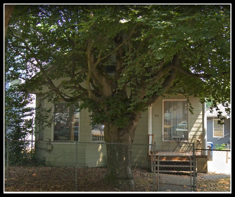 Seattle House: 424 25th Ave S