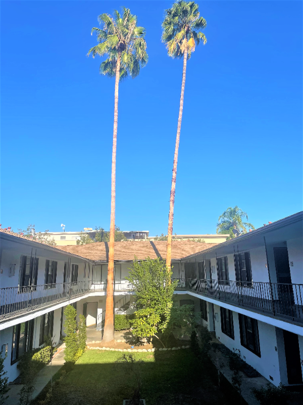 Pasadena Apartment: 170 S Chester Ave
