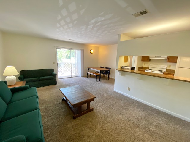 Clemson Apartment: 220 Elm St