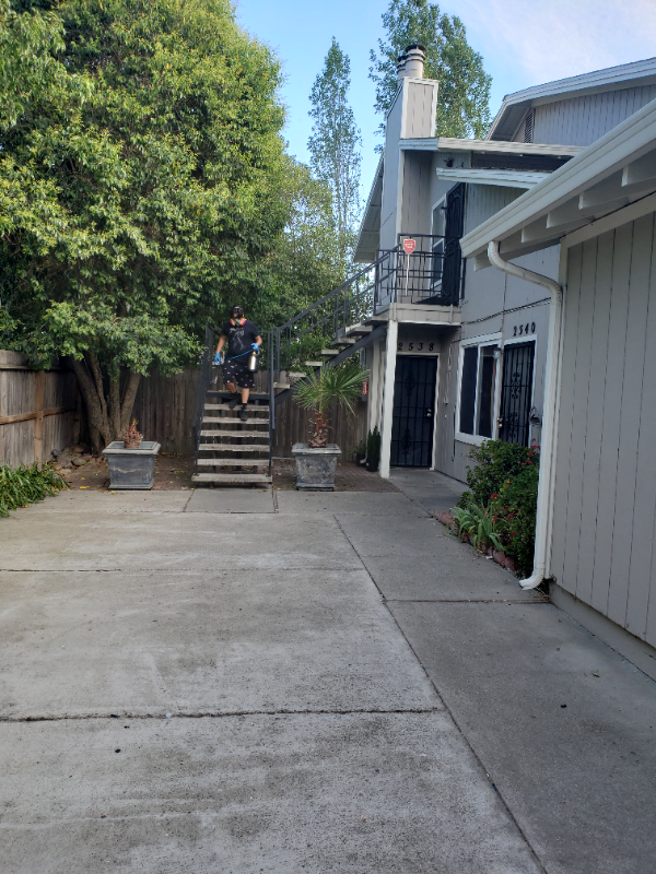 Stockton Multiplex: 2538 Antoine ct