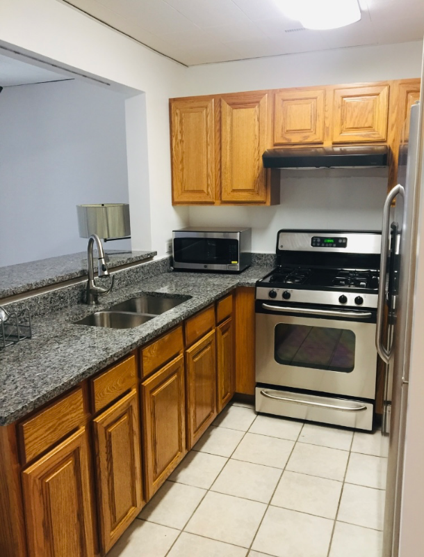 Chicago Apartment: 1829 S Carpenter