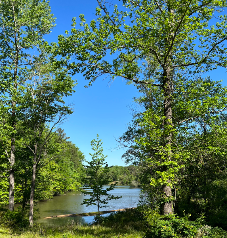 Tuscaloosa Other: 4241 Springhill Dr