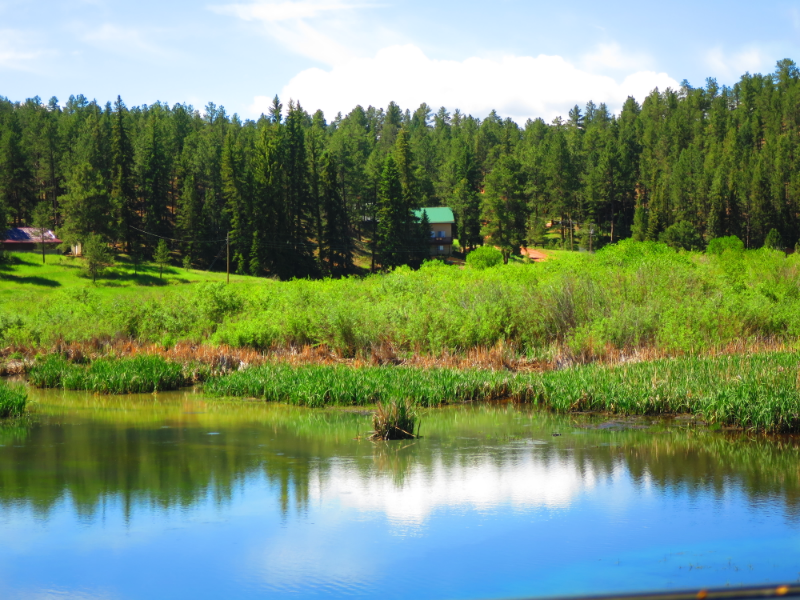 Woodland Park House: 15729 Pine Lake Dr