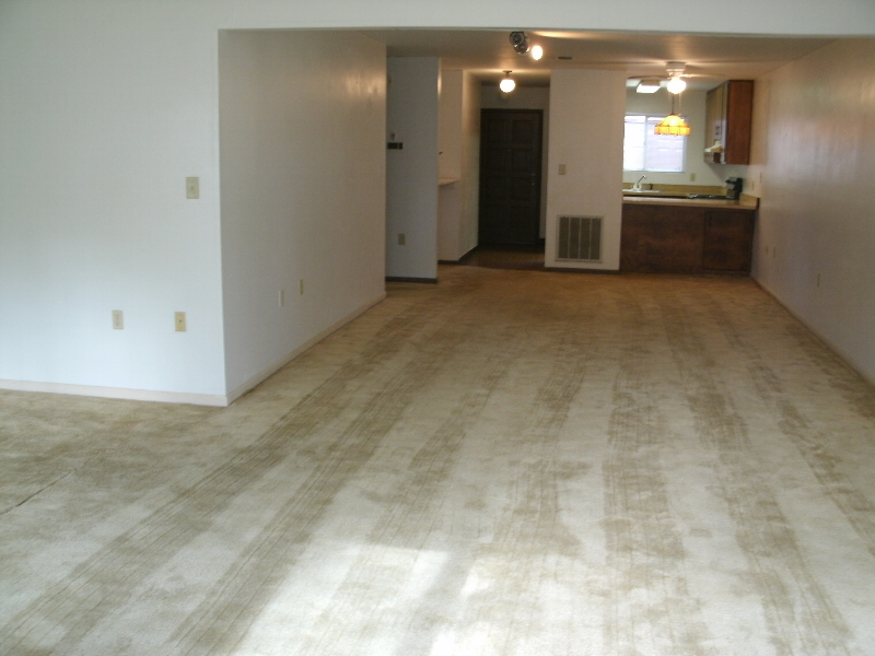 Tallahassee Apartment: 2/2 Darryl Dr 1300sf