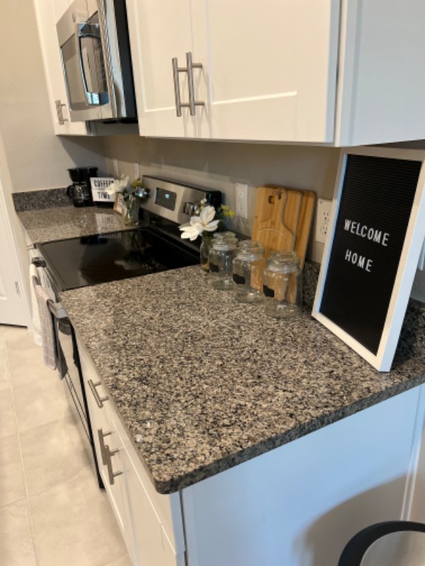 Wesley Chapel Townhome: 31632 Blue Passing Loop