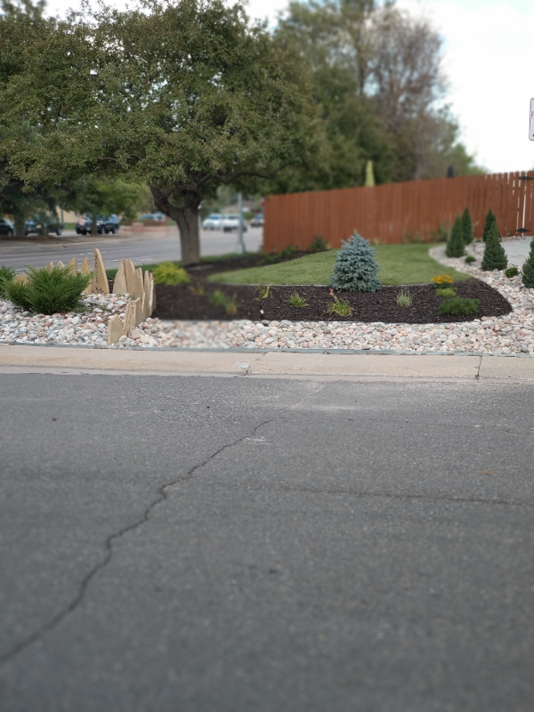 Denver Apartment: 3080 Magnolia St